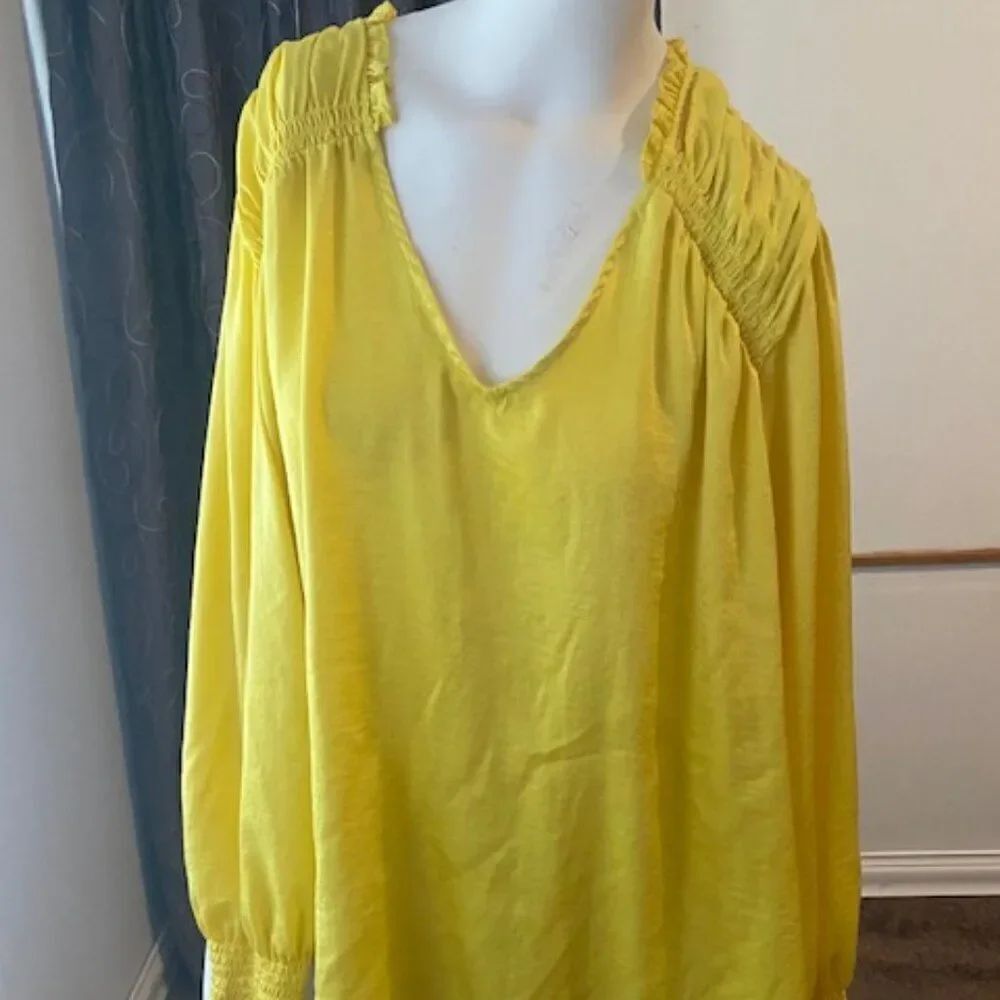 Cato Midniteparis Celery V-neck Smocked sleeves blouse, size 22/24